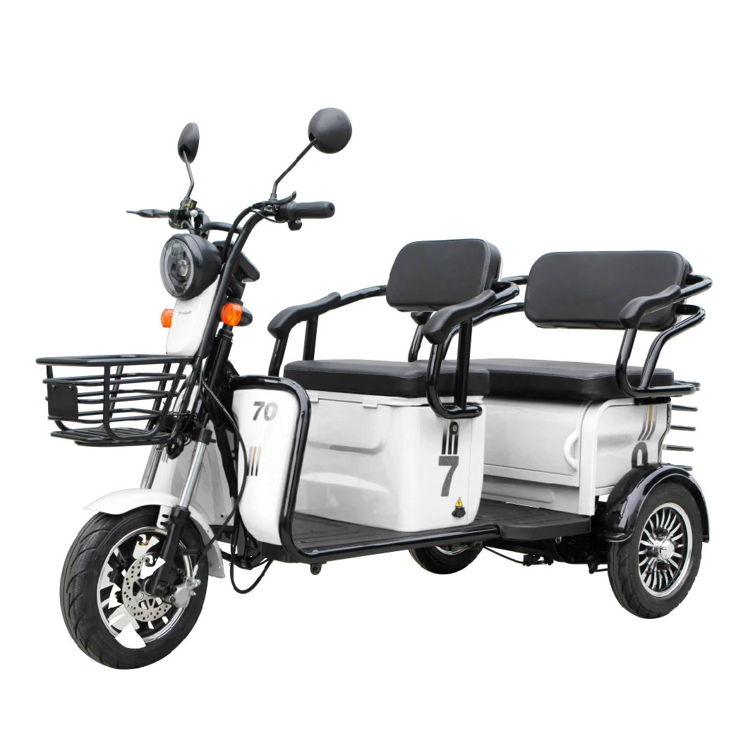 Saige Passage City Leisure Electric Trike Adult EEC E-Trike