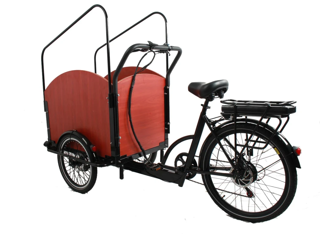 Best 500W Bafang Brushless Motor Etrike with Rainproof Shed 2 Seats Family Use City Bike Electric Trike