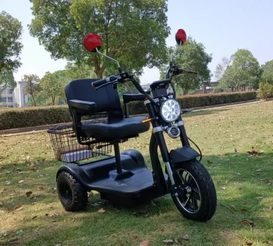 Scooter elettrico per tricicli a tre ruote City Coco Trike da 500 W-750 W di nuovo arrivo