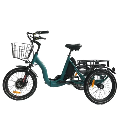 Vendita calda Città Trike Elettrico Pieghevole 3 Ruote Cargo Bike 36 V/48 V Batteria Al Litio Triciclo Elettrico Per Adulti strada Piccolo Pneumatico E Trike