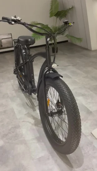 Cina E-Bike da uomo per bicicletta elettrica Fat Tire da 750 W con sospensione completa