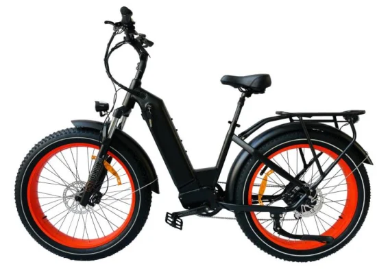 Queene Buona Qualità 1000W MID Drive E-Bike Sospensione Completa Fat Tire Mountain Bici elettrica E-Bike