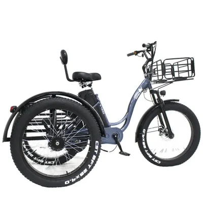 Comoda guida in città, pendolarismo multicolore, vendita calda, 48 V, 800 W, motore con mozzo posteriore Bafang, cestini anteriori posteriori, triciclo elettrico