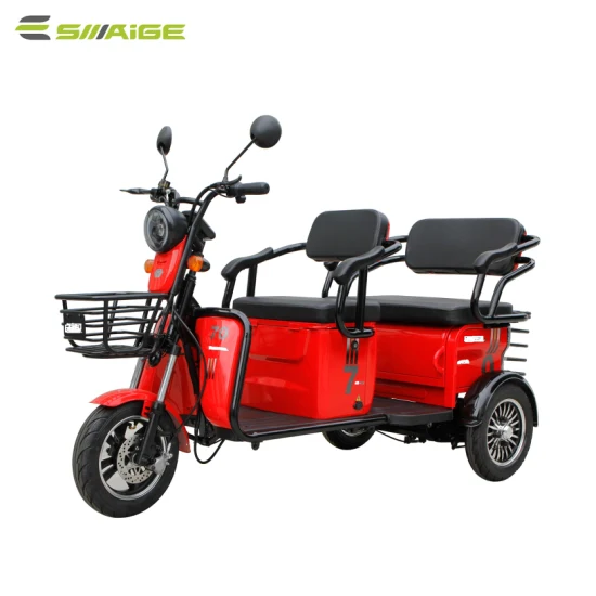 Triciclo elettrico ricreativo Saige Passage City per adulti EEC E-Trike