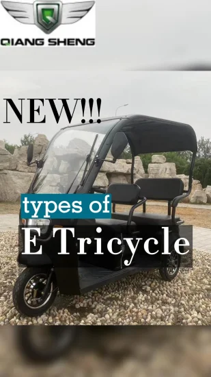 Triciclo elettrico per il tempo libero in vendita calda, e-trike da città alla moda, tricicli per passeggeri di alta qualità