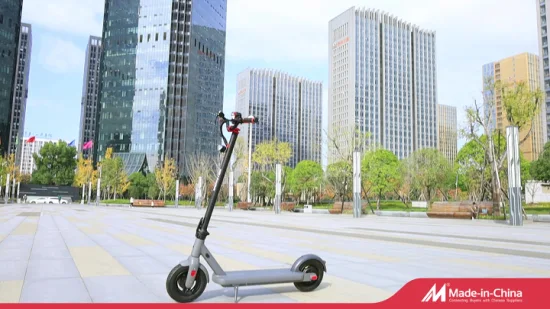 E-Scooter elettrico Electro Trottinette Electrique da 8,5 pollici 500 W di fabbrica all'ingrosso in Europa