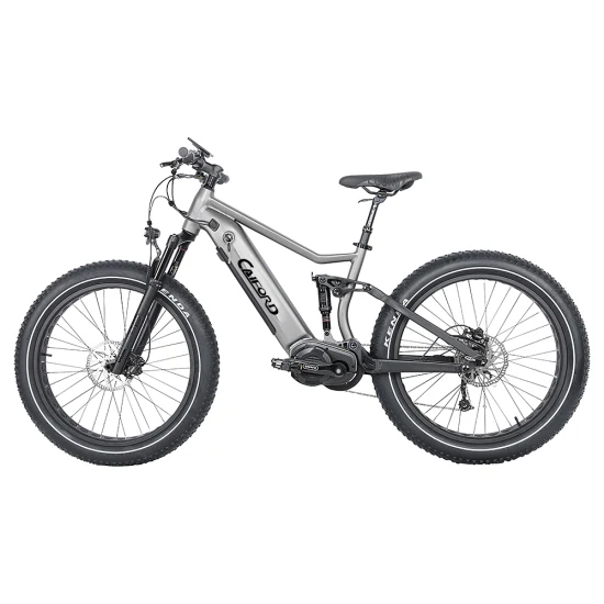 Batteria agli ioni di litio 26 * 4.0 MID-Drive 48V12.8ah, bici da città elettrica brushless Bafang da 750 W / 1000 W