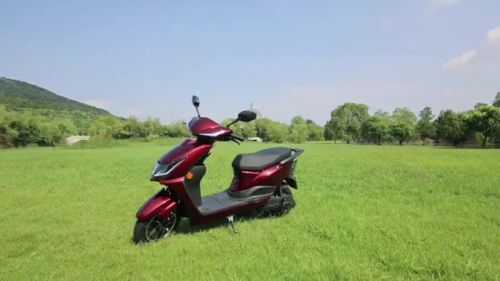 Flymate Cina produttore di motociclette elettriche CKD ad alta velocità economiche per adulti