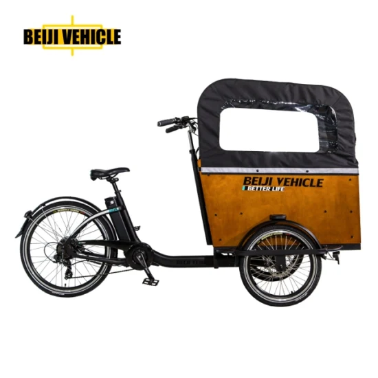 Vendita calda bici elettrica 250W motore 3 ruote bici da carico elettrica con scatola di legno triciclo per il trasporto di bambini e animali domestici