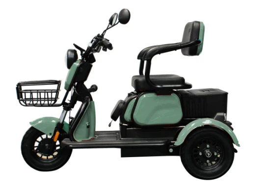 Nuovo Arrivo Scooter per Adulti Tempo Libero 3 Ruote Triciclo Elettrico da Città Cargo Pneumatici Grassi in Lega di Alluminio Triciclo Elettrico per Adulti con Cestino Anteriore e Posteriore