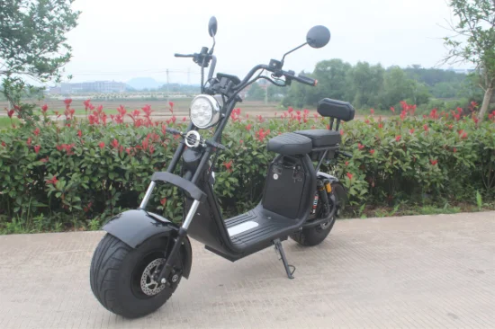 Fat Boy High Speed ​​​​​​​​​​​​​​Widewheel Fronttasche Moto 1500 W 2000 W 3000 W Electrica Elektro-Motorrad Roller Citycoco