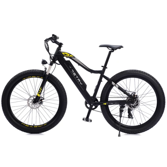 Bicicletta elettrica Ebike da 350 W con telaio in alluminio Bicicletta elettrica Ebike con batteria al litio nascosta