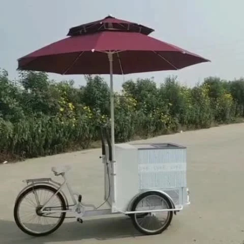 Bici da carico a 3 ruote approvata CE OEM con congelatore, carrello per la vendita di alimenti in vendita, triciclo elettrico per gelato